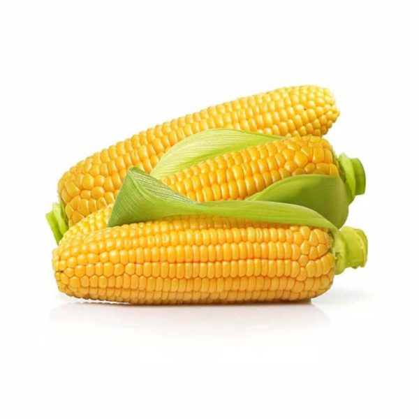 Sweet Corn